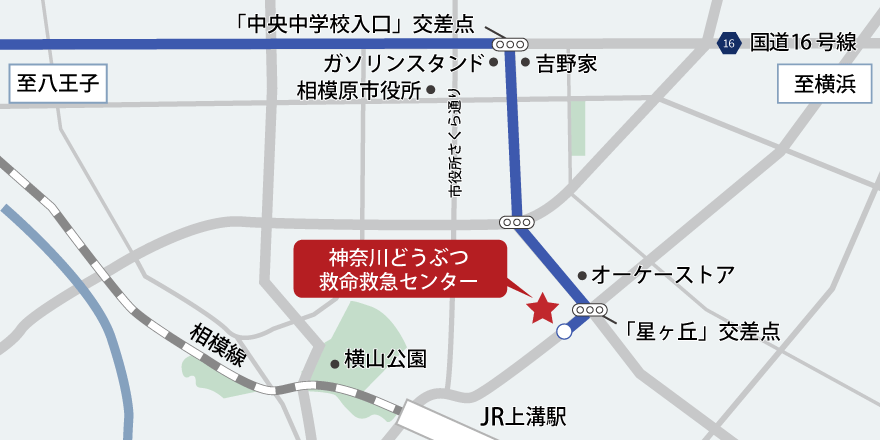 八王子方面からお越しの方用ルートマップ